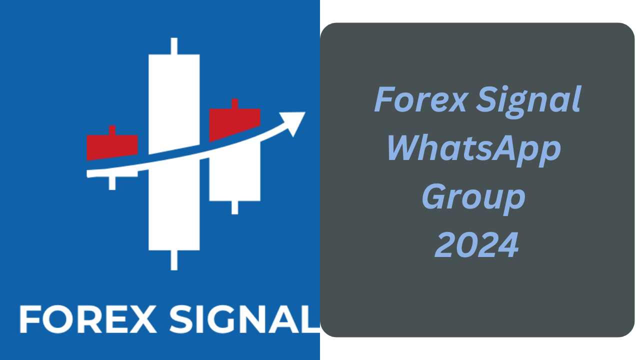 Forex Signal whatsapp Group